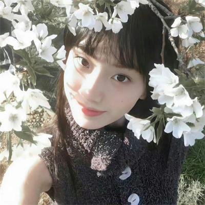 一只小蜘蛛